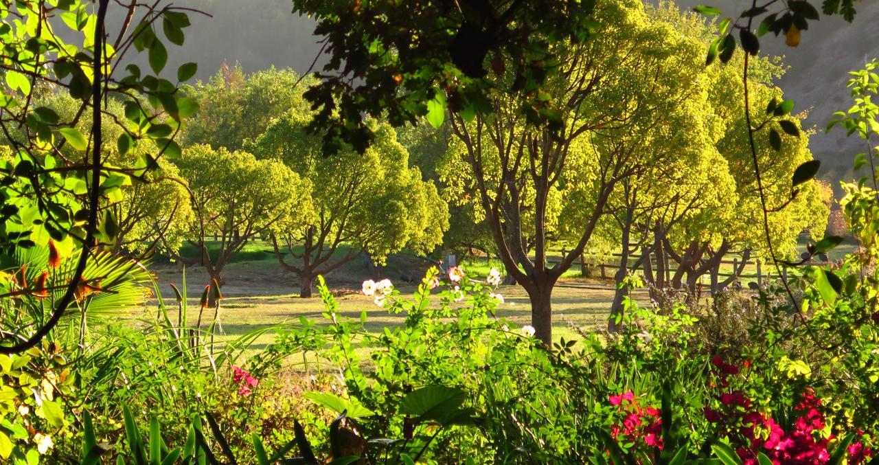 Muratie Wine Estate Stellenbosch Eksteriør billede